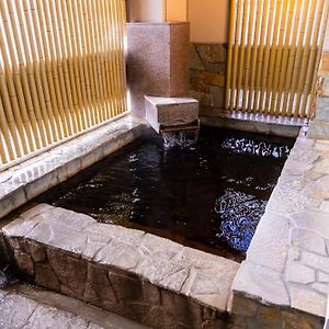 Natural Hot Spring Ariston Hotel Oita